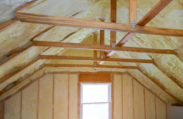 Best Insulation Inspection Services  in Mmerce City, CO