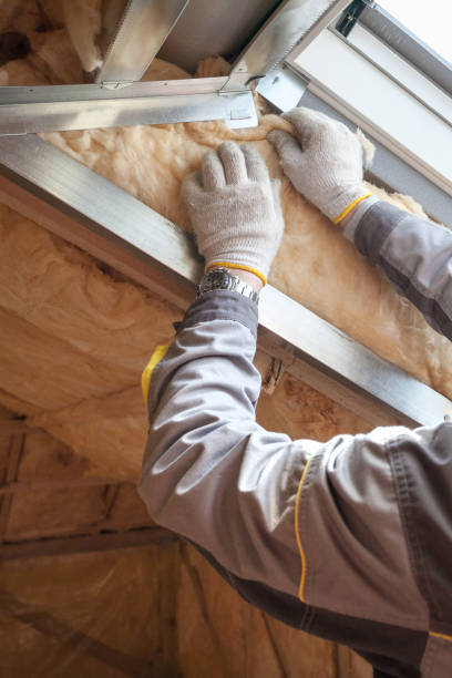 Insulation Replacement Services in Commerce City, CO