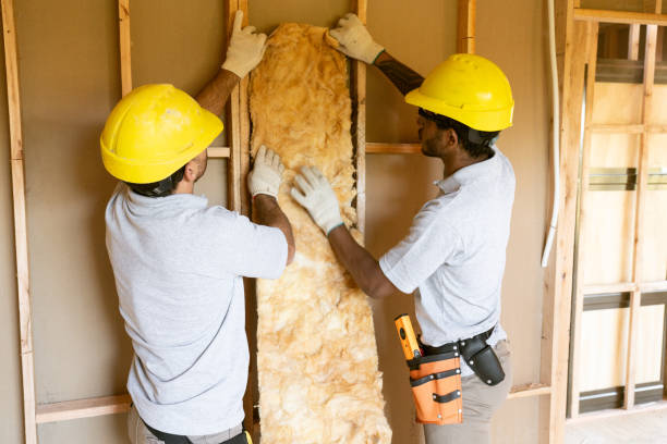 Best Residential Insulation Services  in Mmerce City, CO