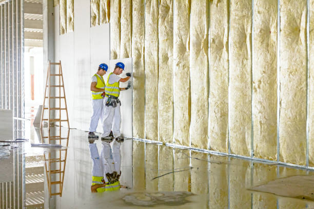 Best Insulation Contractor Near Me  in Mmerce City, CO